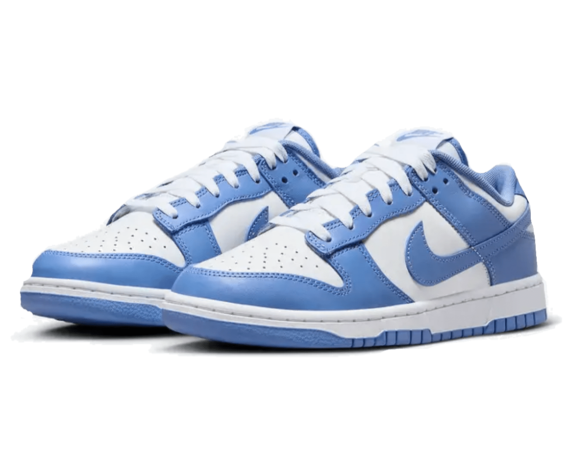 Nike Dunk Low Polar Blue - OnSize